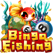 Bingo Fishing on tableplus 2