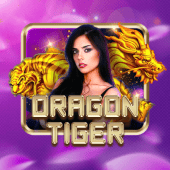 Dragon Tiger on tableplus 2