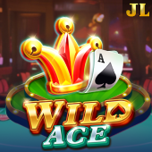 Wild Ace on tableplus 2